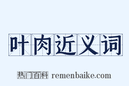 叶肉近义词是什么意思的图片